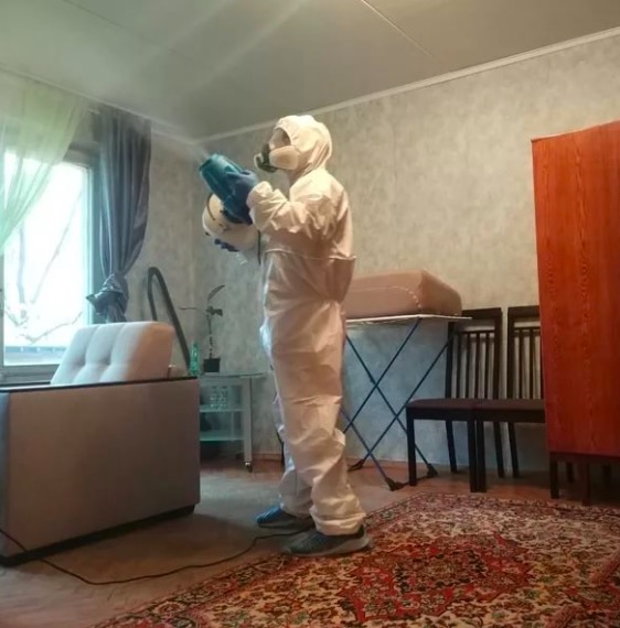 дезинсекция квартиры в Струнино